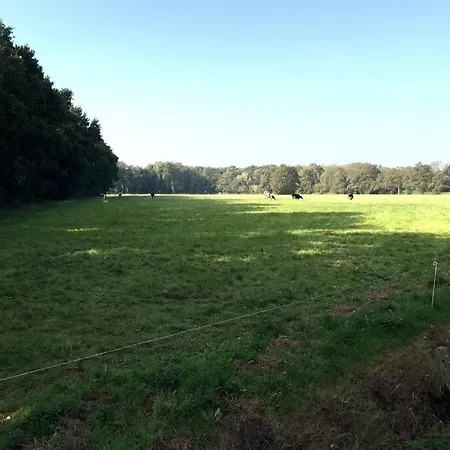 Natuurhuisje Veluwe Met Houtkachel En Pizzaoven Holiday home