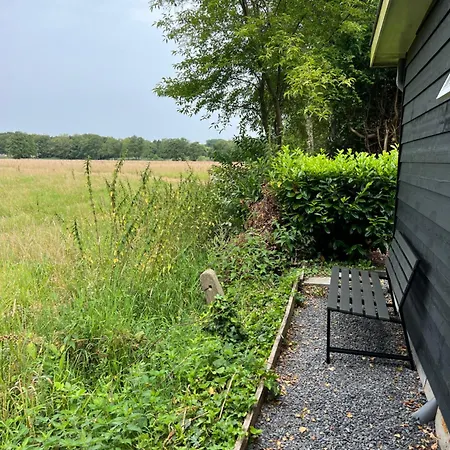 Natuurhuisje Veluwe Met Houtkachel En Pizzaoven Holiday home
