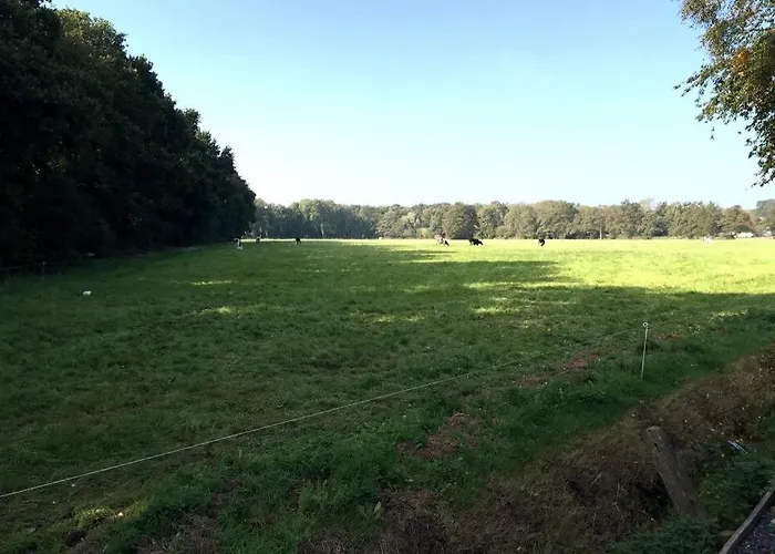 Natuurhuisje Veluwe Met Houtkachel En Pizzaoven 別荘